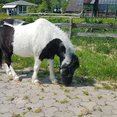 Ferienhofseefeld Séjour à la ferme Dornum